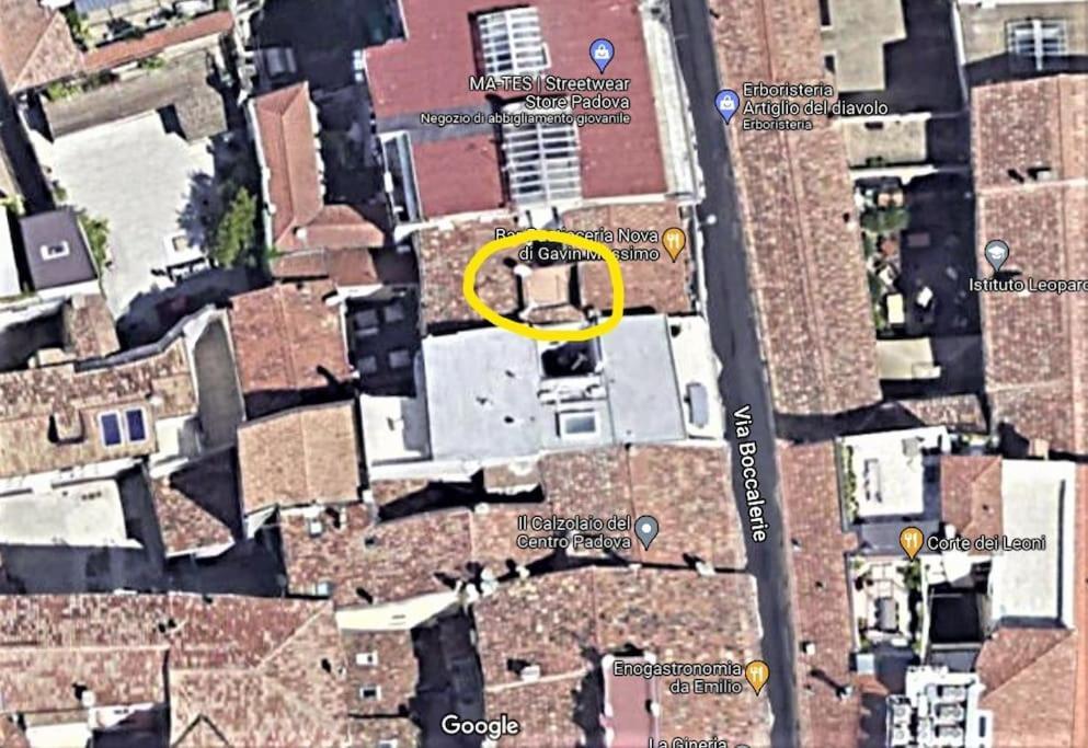 Residence Dei Frutti Pieno Centro - Il Cedro 파도바 외부 사진